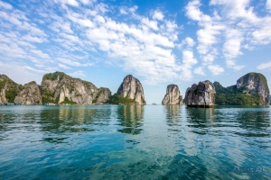 Tranh dán tường Hải Phòng rẻ đẹp
