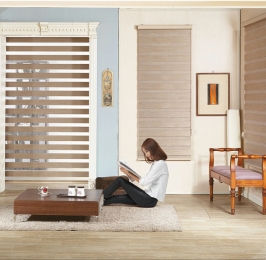 Rèm cầu vồng Hàn Quốc 
